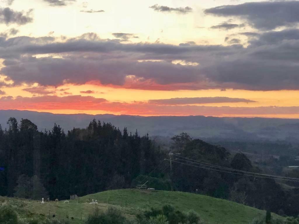 Arohanui Rural Retreat B&B Tauranga Zewnętrze zdjęcie