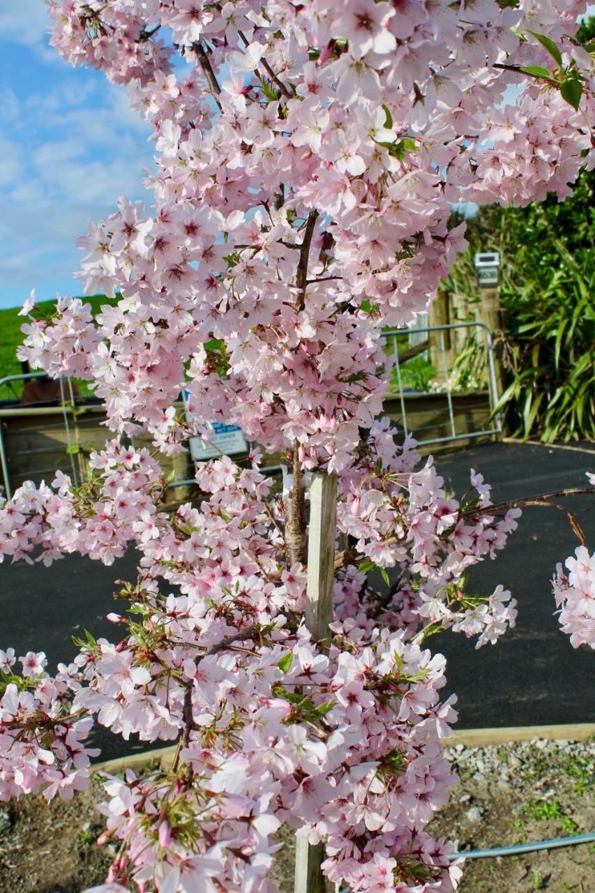 Arohanui Rural Retreat B&B Tauranga Zewnętrze zdjęcie