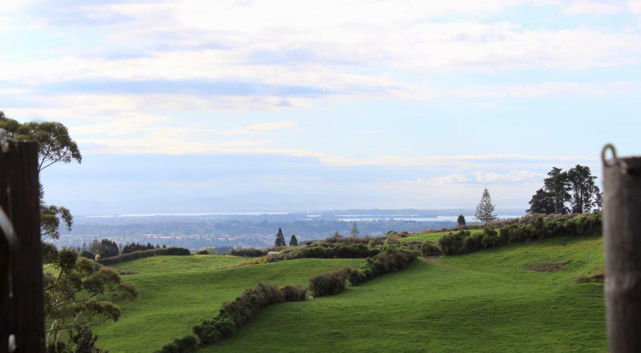Arohanui Rural Retreat B&B Tauranga Zewnętrze zdjęcie