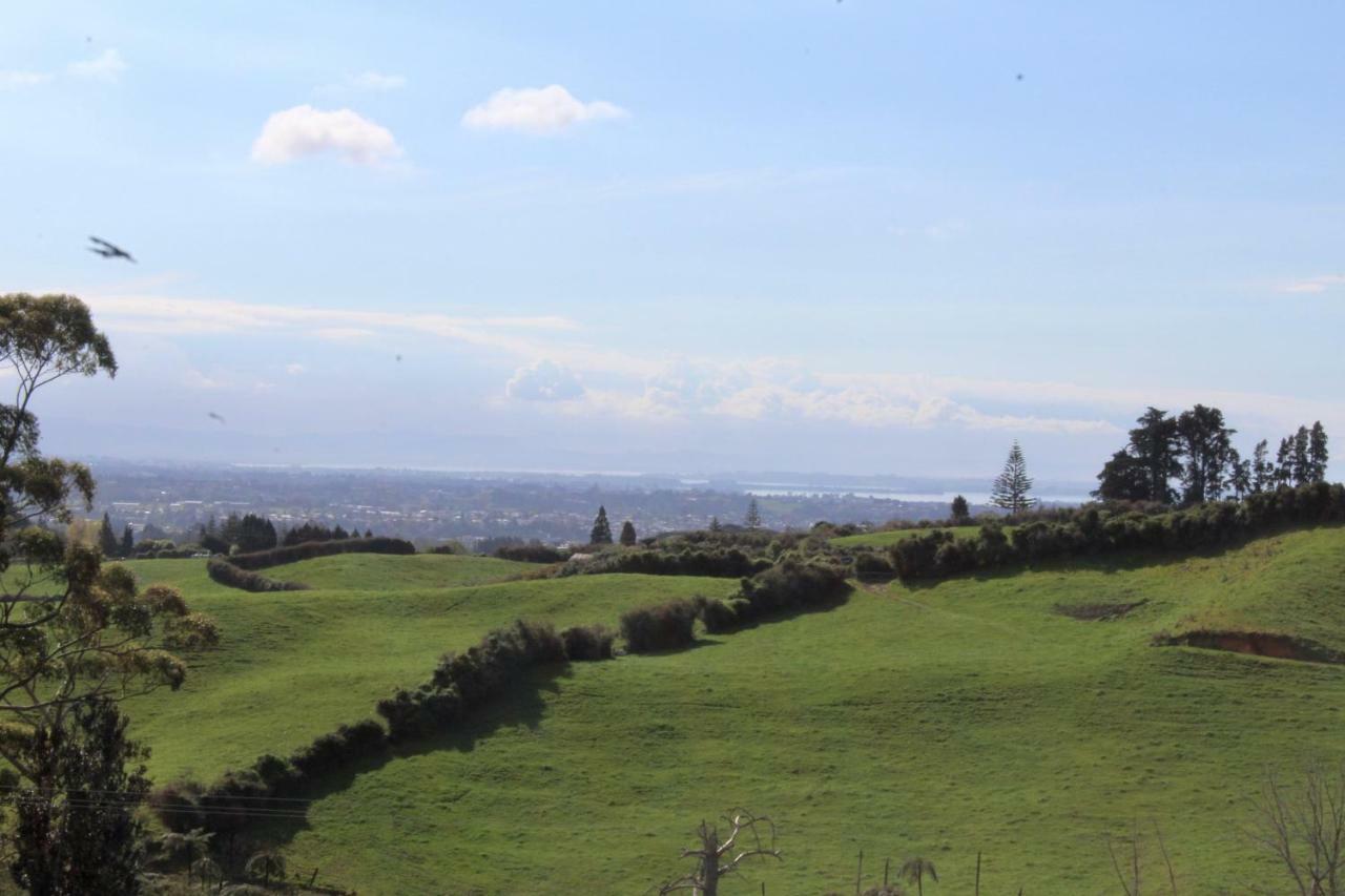 Arohanui Rural Retreat B&B Tauranga Zewnętrze zdjęcie